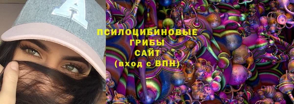 ешки Белокуриха