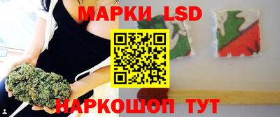 МДПВ Камышлов