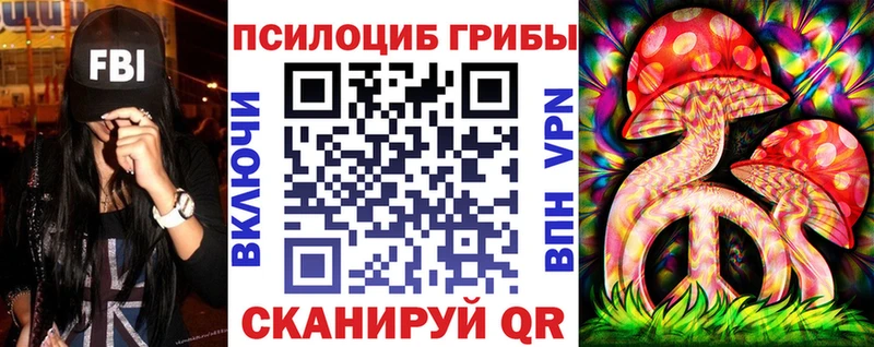 дарнет шоп  Гудермес  Псилоцибиновые грибы Cubensis 
