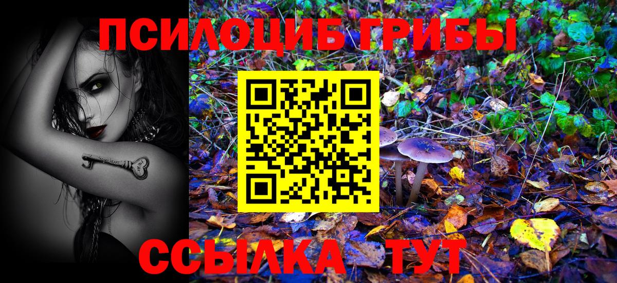 Псилоцибиновые грибы Psilocybine cubensis  Псилоцибиновые грибы прущие грибы  Гудермес  Вход с VPN 